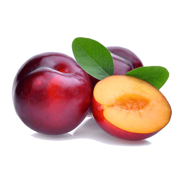 South African Plums