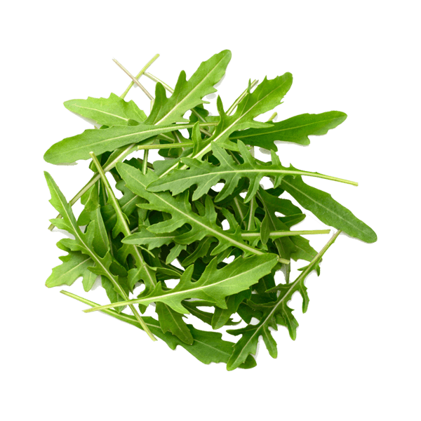 Rocket Leaves (Arugula)