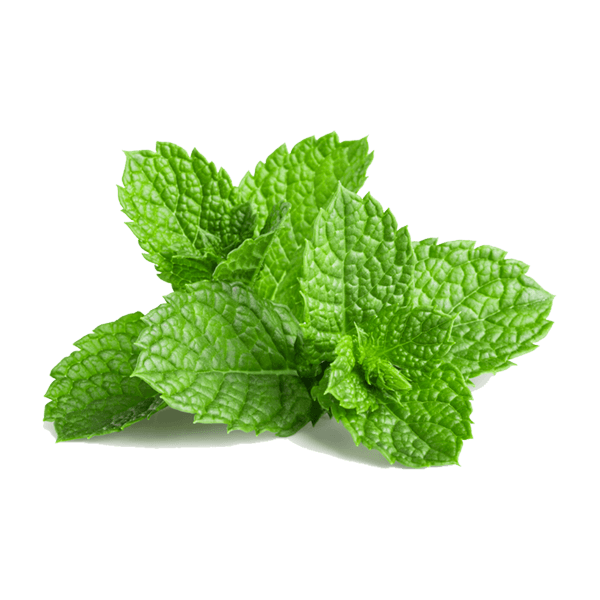 Mint Leaves