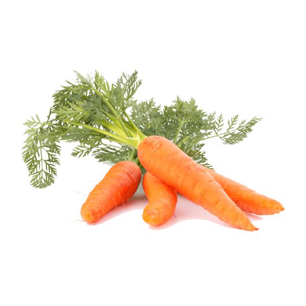 Ooty Carrot