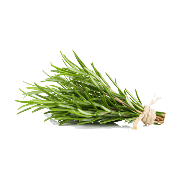 Fresh Rosemary