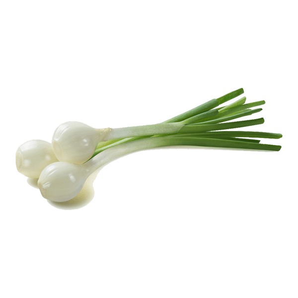 Spring Onion