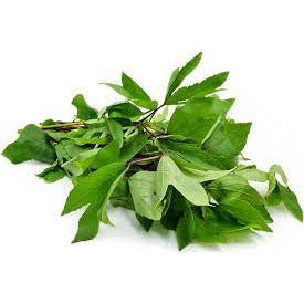 Gongura Leaves