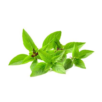 Thai Basil