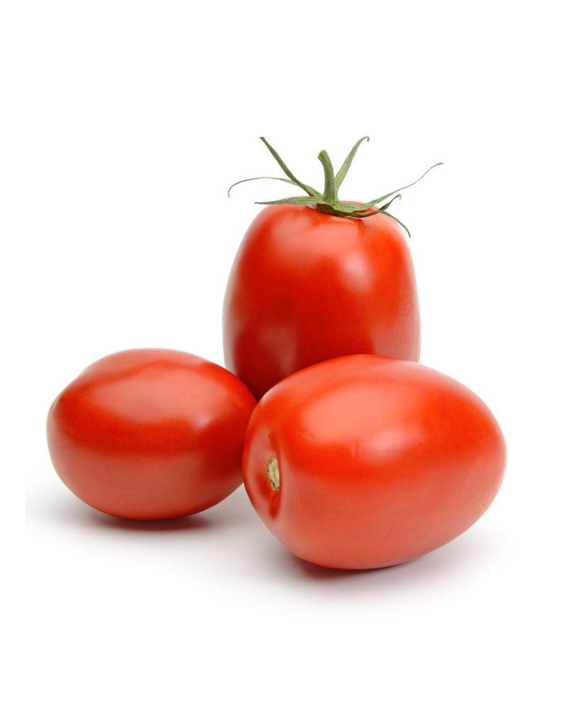 Tomato Hybrid